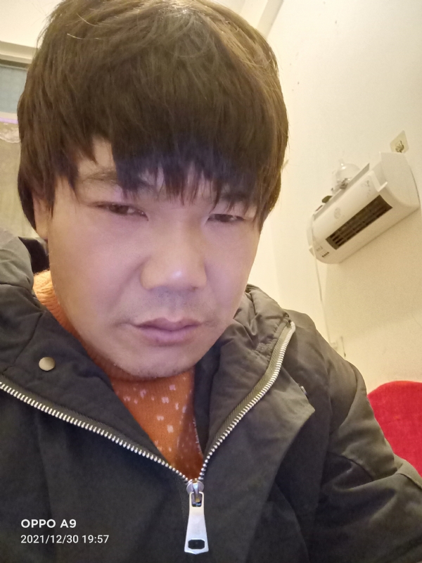 小鸟找窝的第二张照片--马尾婚介网